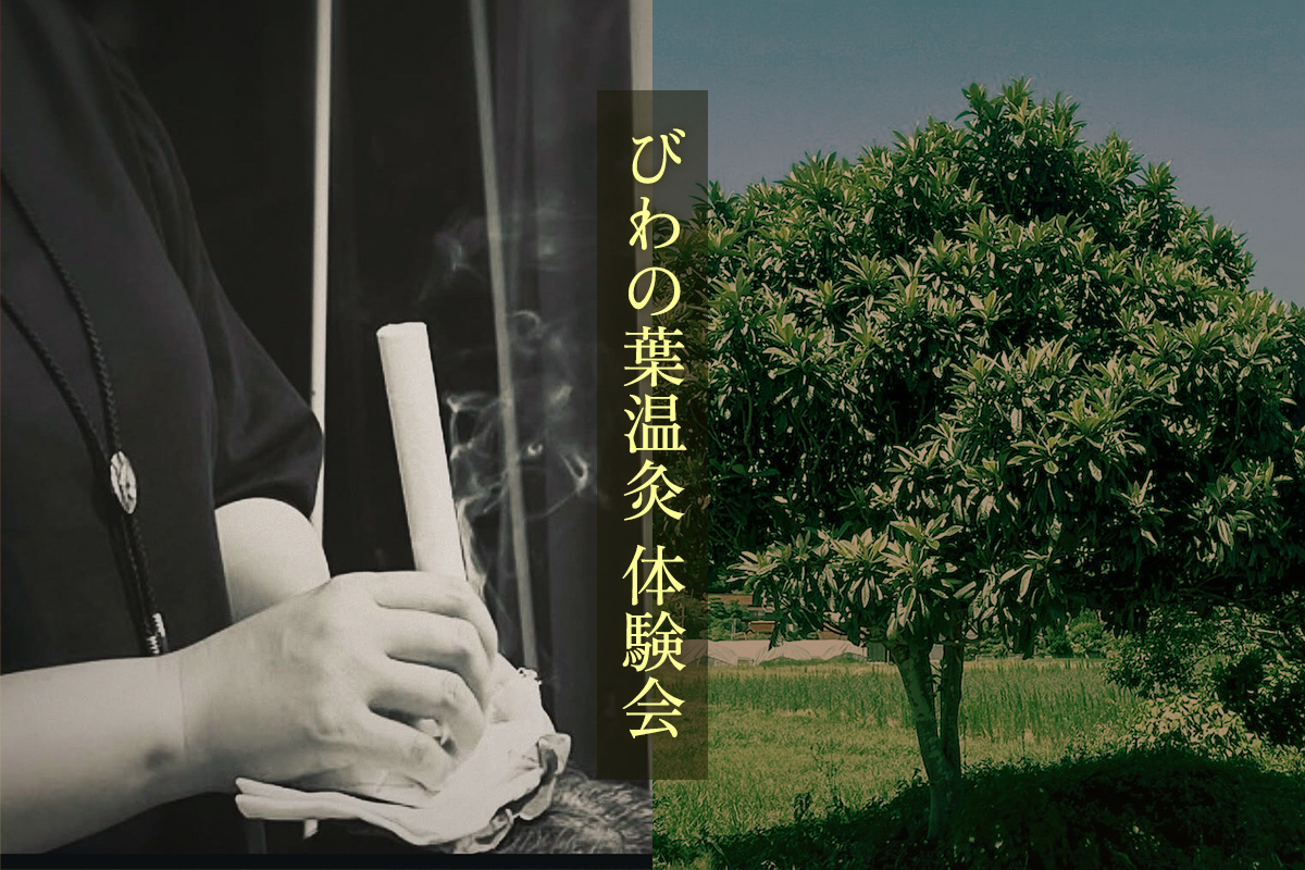 【予約受付中】びわの葉温灸 体験会｜Bee和-MAYU
